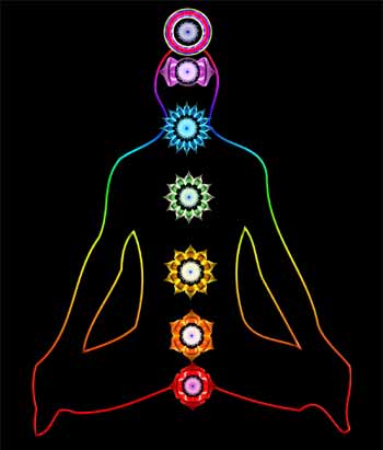 Anordnung der 7 Chakren / Chakras im Menschen / Zuordnung